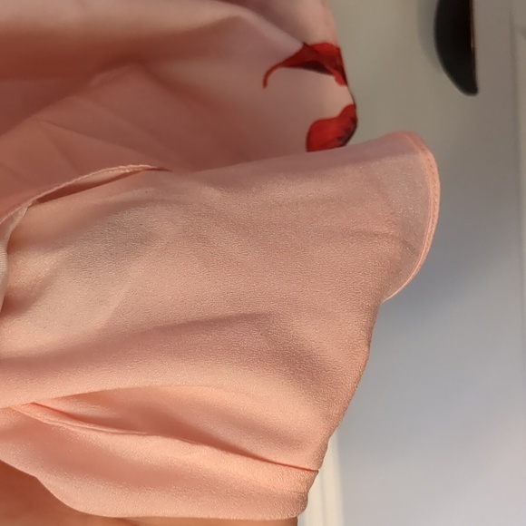 Ted Baker Malaani Fantasia Mini Dress - Picture 12 of 14